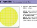 3M大肠菌群/大肠杆菌测试片