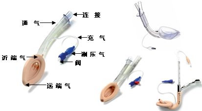 吼罩结构