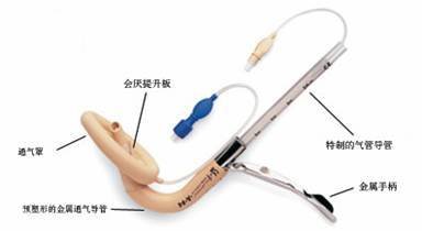 气管插管喉罩