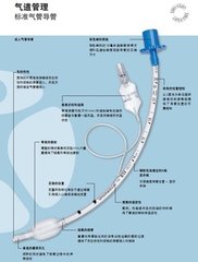 气管插管文字