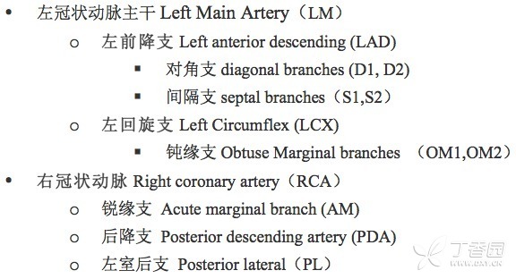 入门必备：冠状动脉 CT 解剖及变异