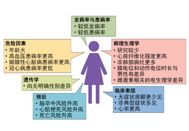 男女有别：略说女性房颤二三事