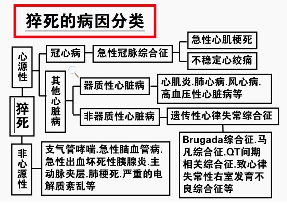 实用手册：急救速记口诀之猝死篇