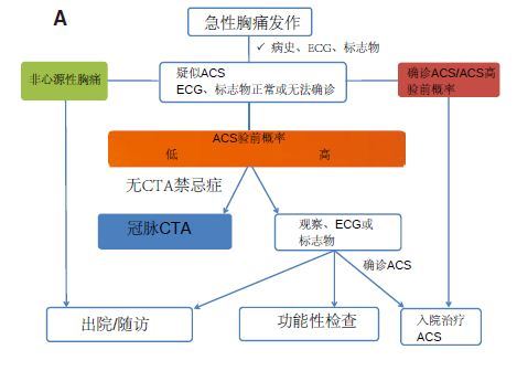 临床综述：利用冠脉CT血管造影准确诊断急诊胸痛患者